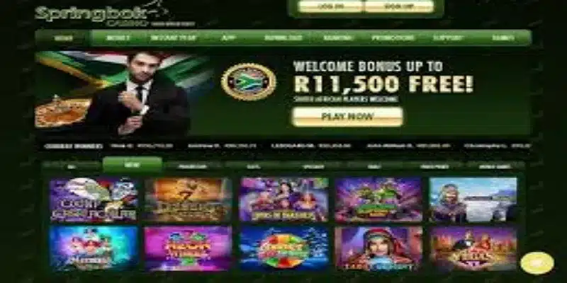 Springbok Casino为何能成为行业翘楚-OD体育