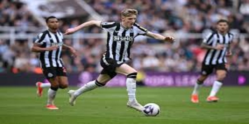 从埃弗顿到纽卡：成长的阵痛与突破- OD体育