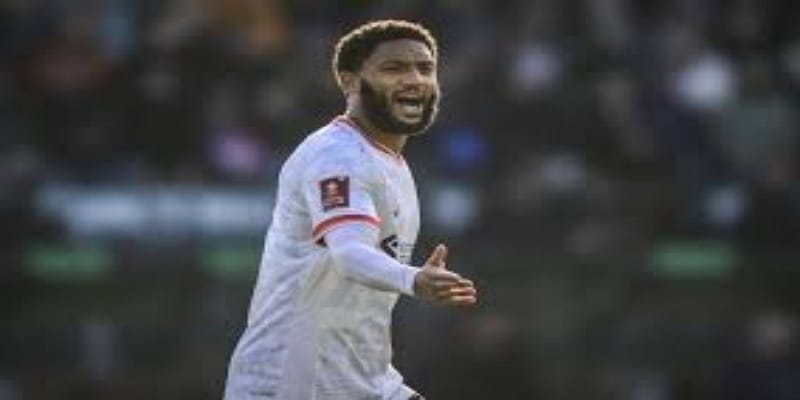 未来影响与曼联新赛季布局 - OD体育全面展望 - OD体育