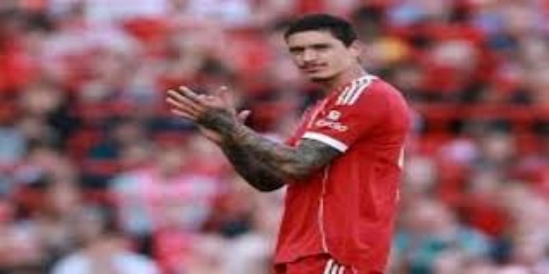 案件全貌与事件背景：米科诺斯之夜如何演变成国际风暴-OD体育